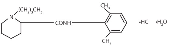 Bupivacaine Hcl | Bupivacaine Hcl | Bupivacine Hcl